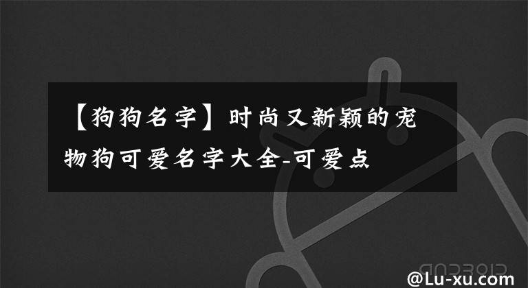 【狗狗名字】时尚又新颖的宠物狗可爱名字大全-可爱点