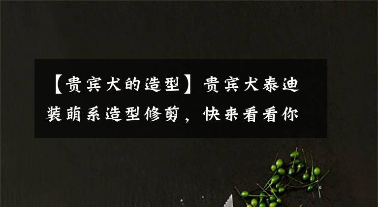 【贵宾犬的造型】贵宾犬泰迪装萌系造型修剪，快来看看你家的狗子多好看