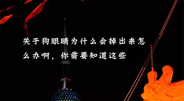 关于狗眼睛为什么会掉出来怎么办啊，你需要知道这些文章配图