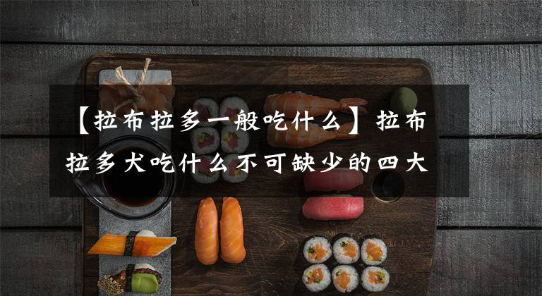 【拉布拉多一般吃什么】拉布拉多犬吃什么不可缺少的四大食品？