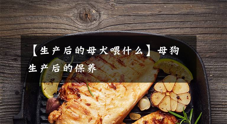 【生产后的母犬喂什么】母狗生产后的保养