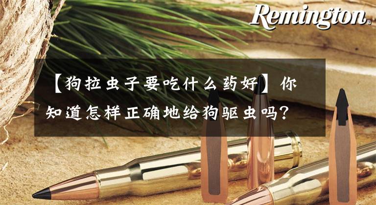 【狗拉虫子要吃什么药好】你知道怎样正确地给狗驱虫吗？