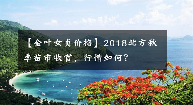 【金叶女贞价格】2018北方秋季苗市收官，行情如何？