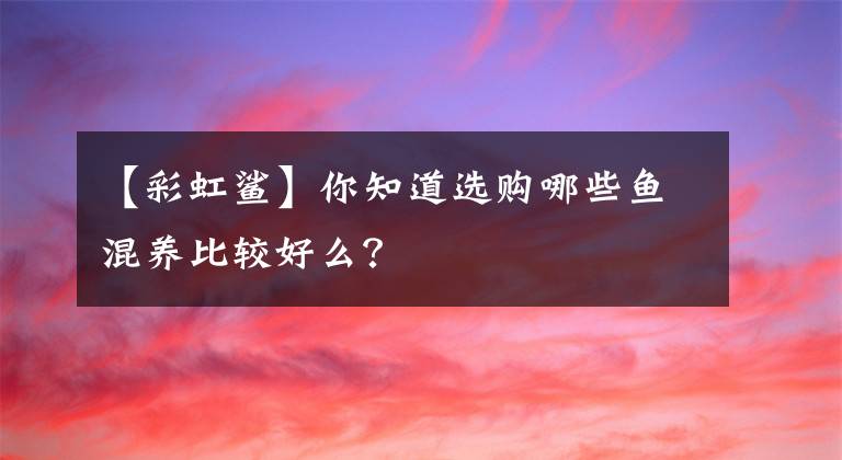 【彩虹鲨】你知道选购哪些鱼混养比较好么？