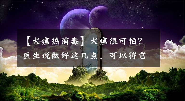 【犬瘟热消毒】犬瘟很可怕？医生说做好这几点，可以将它拒绝在门外