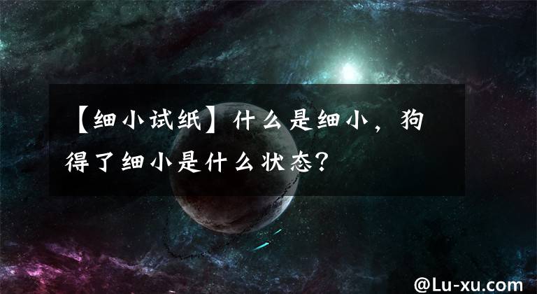 【细小试纸】什么是细小，狗得了细小是什么状态？