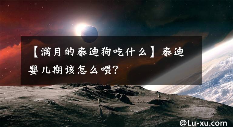 【满月的泰迪狗吃什么】泰迪婴儿期该怎么喂？文章配图