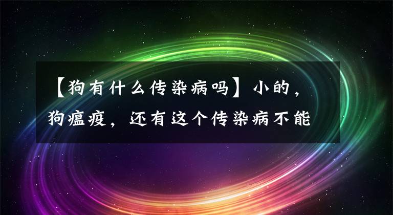 【狗有什么传染病吗】小的，狗瘟疫，还有这个传染病不能忽视。文章配图