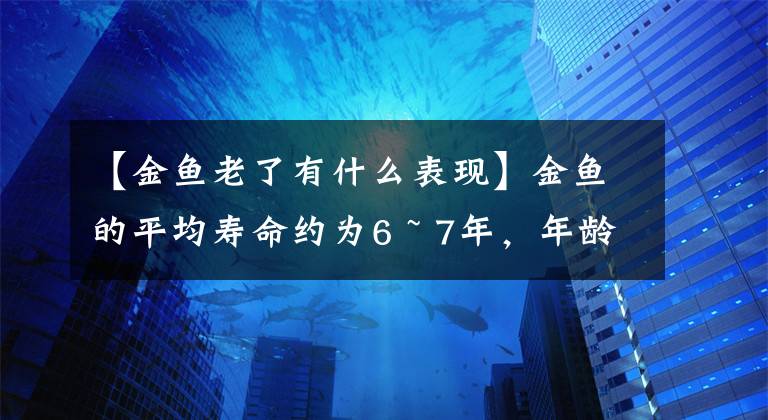 【金鱼老了有什么表现】金鱼的平均寿命约为6 ~ 7年，年龄太大会褪色