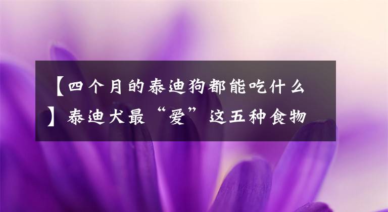 【四个月的泰迪狗都能吃什么】泰迪犬最“爱”这五种食物，只要装满一碗就能吃完。文章配图