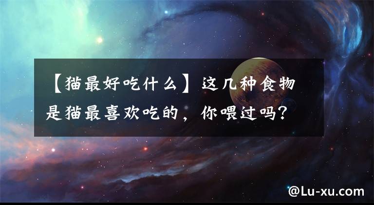 【猫最好吃什么】这几种食物是猫最喜欢吃的，你喂过吗？文章配图