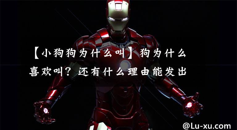 【小狗狗为什么叫】狗为什么喜欢叫？还有什么理由能发出狗吠声？文章配图