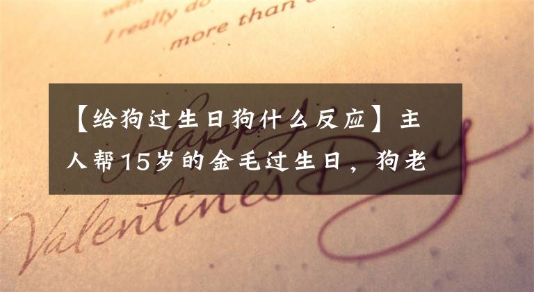 【给狗过生日狗什么反应】主人帮15岁的金毛过生日，狗老了坐不住，但笑得很开心。文章配图