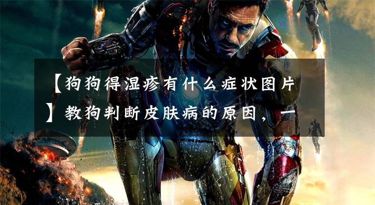 【狗狗得湿疹有什么症状图片】教狗判断皮肤病的原因，一眼就能知道文章配图