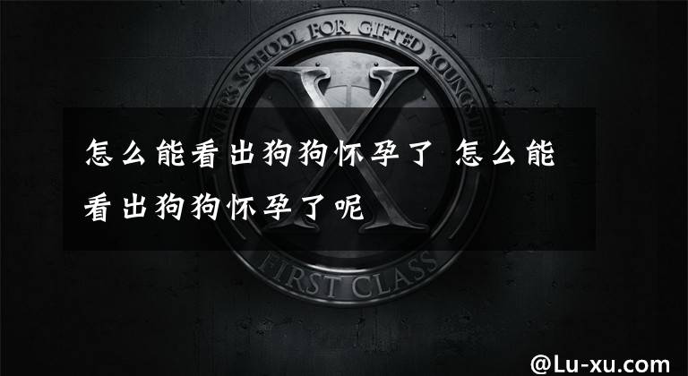 怎么能看出狗狗怀孕了 怎么能看出狗狗怀孕了呢文章配图