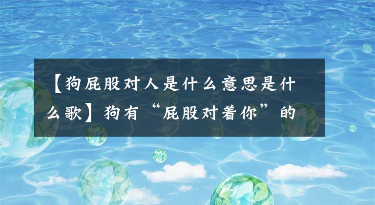 【狗屁股对人是什么意思是什么歌】狗有“屁股对着你”的五种意思，很多宠主不理解。文章配图