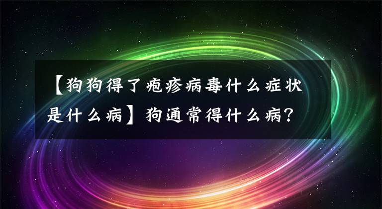 【狗狗得了疱疹病毒什么症状是什么病】狗通常得什么病？不同年龄段狗经常患的疾病不同~文章配图