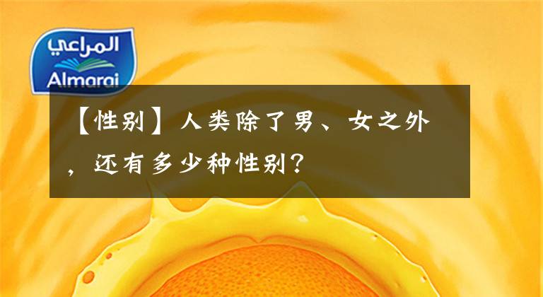 【性别】人类除了男、女之外，还有多少种性别？