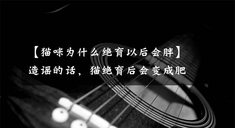 【猫咪为什么绝育以后会胖】造谣的话，猫绝育后会变成肥宅吗？发胖有很多原因，绝育并不是主要原因！文章配图