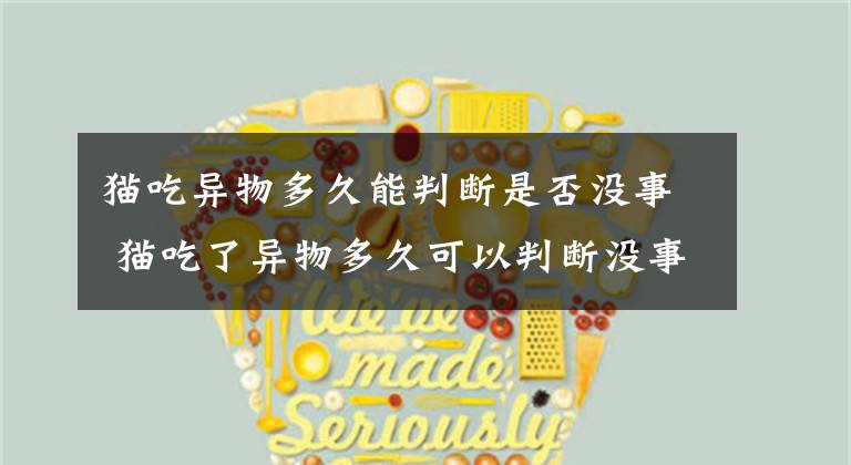 猫吃异物多久能判断是否没事 猫吃了异物多久可以判断没事文章配图