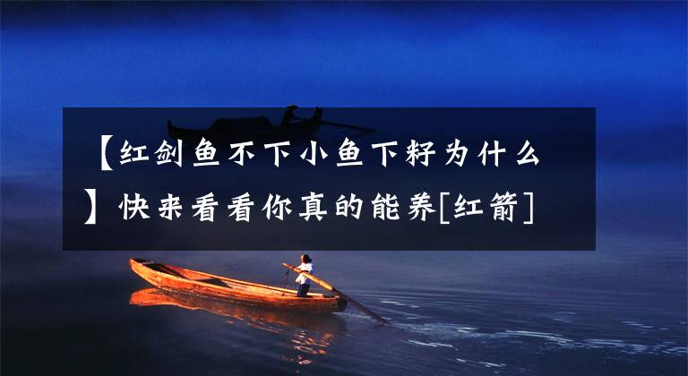 【红剑鱼不下小鱼下籽为什么】快来看看你真的能养[红箭]文章配图