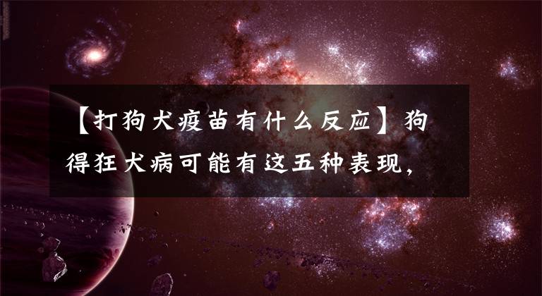 【打狗犬疫苗有什么反应】狗得狂犬病可能有这五种表现，主人千万要小心文章配图