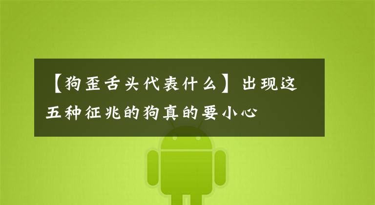 【狗歪舌头代表什么】出现这五种征兆的狗真的要小心文章配图
