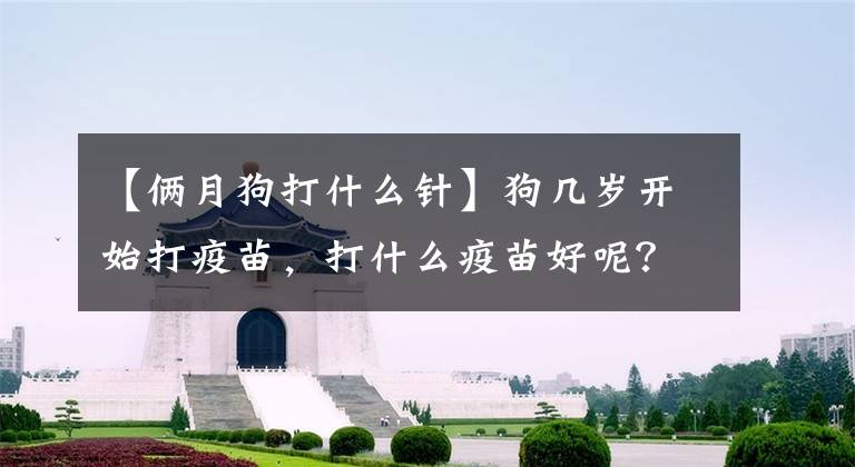 【俩月狗打什么针】狗几岁开始打疫苗，打什么疫苗好呢？文章配图