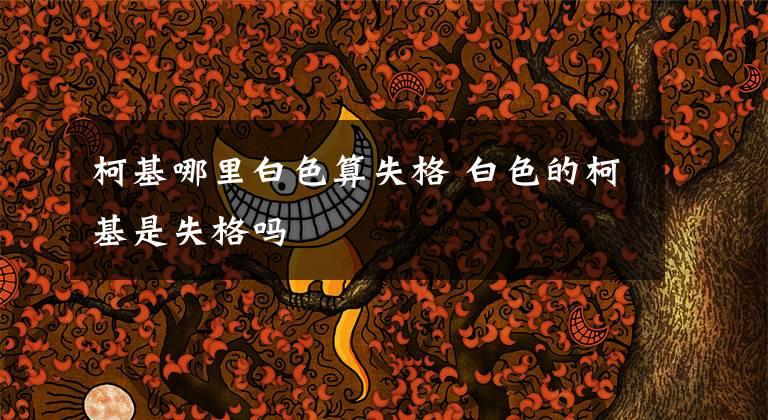 柯基哪里白色算失格 白色的柯基是失格吗文章配图