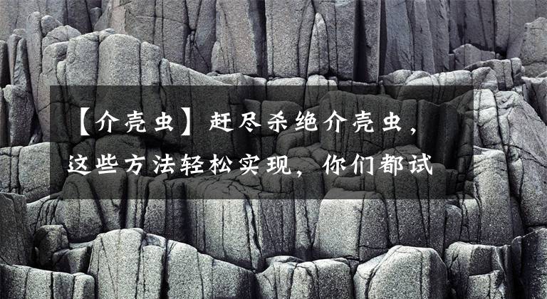 【介壳虫】赶尽杀绝介壳虫，这些方法轻松实现，你们都试过吗？