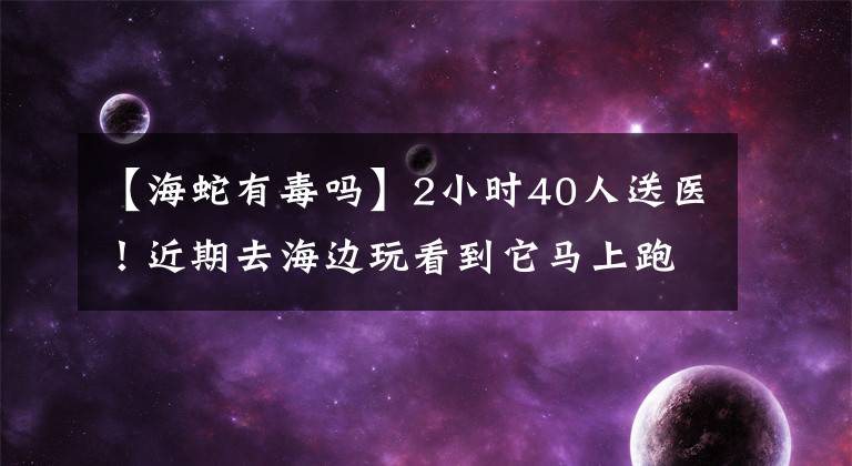 【海蛇有毒吗】2小时40人送医！近期去海边玩看到它马上跑！有人因此丧命