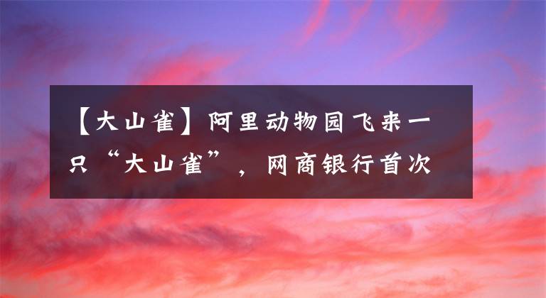 【大山雀】阿里动物园飞来一只“大山雀”，网商银行首次将卫星遥感技术用于农村贷款