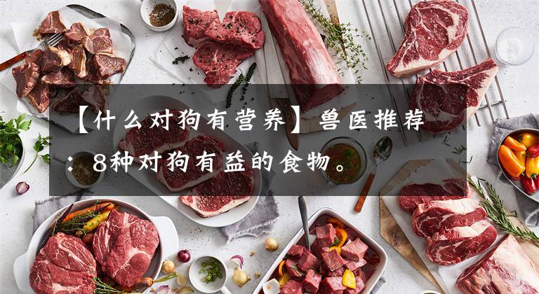 【什么对狗有营养】兽医推荐：8种对狗有益的食物。文章配图