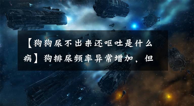 【狗狗尿不出来还呕吐是什么病】狗排尿频率异常增加，但好像尿不出来，可能得了尿结石。文章配图
