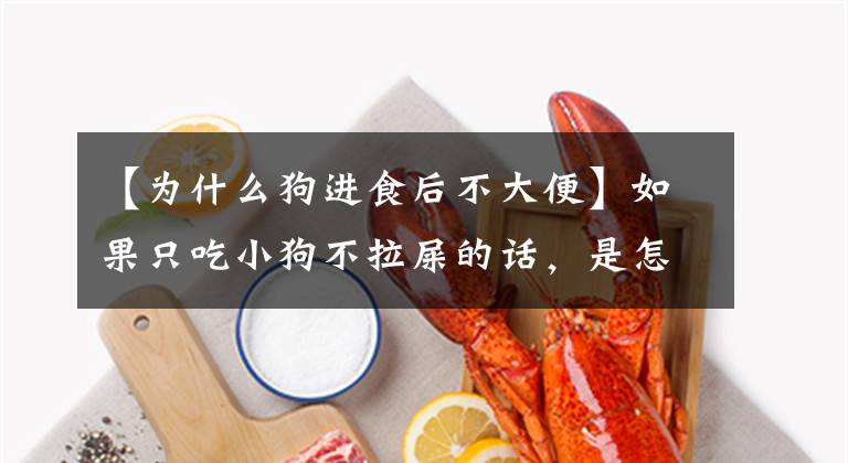 【为什么狗进食后不大便】如果只吃小狗不拉屎的话，是怎么回事？主人不要再数颗粒喂狗粮了文章配图