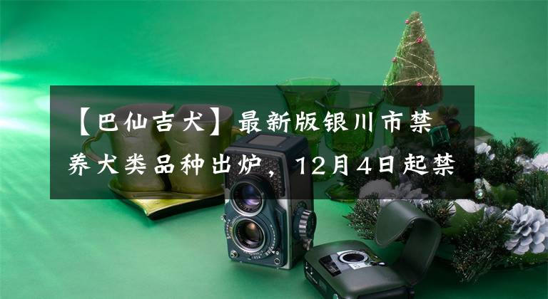 【巴仙吉犬】最新版银川市禁养犬类品种出炉，12月4日起禁养这46种犬类