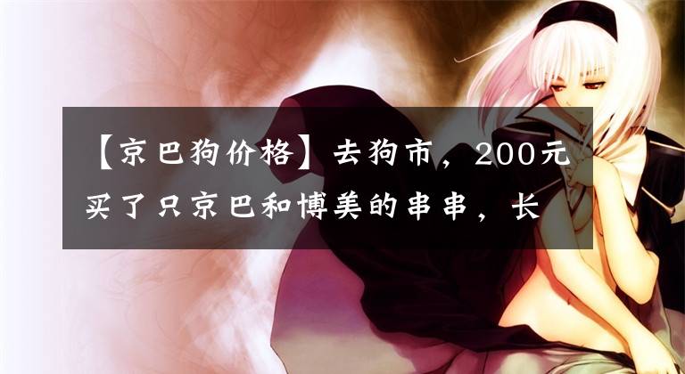 【京巴狗价格】去狗市，200元买了只京巴和博美的串串，长大后老板后悔亏大了