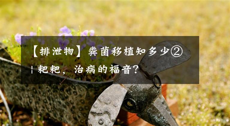 【排泄物】粪菌移植知多少② | 粑粑，治病的福音？