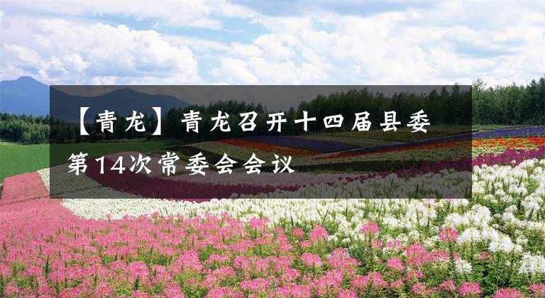 【青龙】青龙召开十四届县委第14次常委会会议