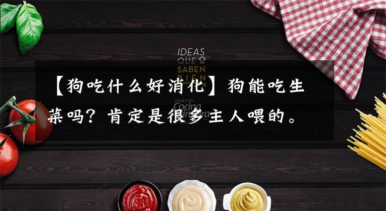 【狗吃什么好消化】狗能吃生菜吗？肯定是很多主人喂的。切得细，一起吃，也会促进消化。文章配图