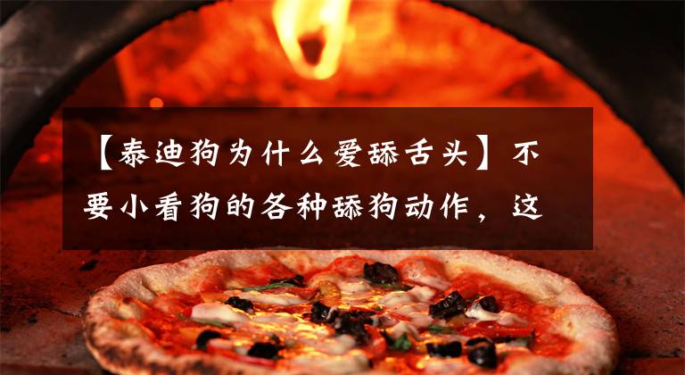 【泰迪狗为什么爱舔舌头】不要小看狗的各种舔狗动作，这种本能的意图代表了很多东西。文章配图