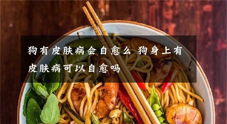 狗有皮肤病会自愈么 狗身上有皮肤病可以自愈吗文章配图