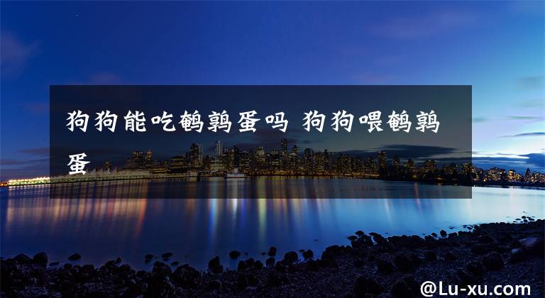 狗狗能吃鹌鹑蛋吗 狗狗喂鹌鹑蛋文章配图