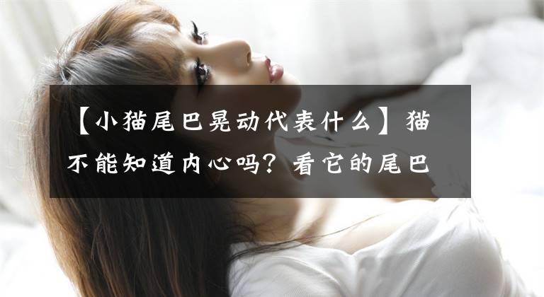 【小猫尾巴晃动代表什么】猫不能知道内心吗？看它的尾巴就行了，本来已经暗示过了文章配图