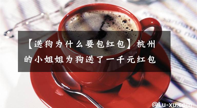 【送狗为什么要包红包】杭州的小姐姐为狗送了一千元红包，民警委婉地拒绝了“为人民服务，不接受任何报酬”。文章配图