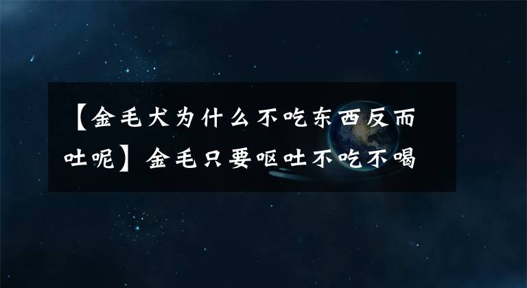 【金毛犬为什么不吃东西反而吐呢】金毛只要呕吐不吃不喝就能治好吗？