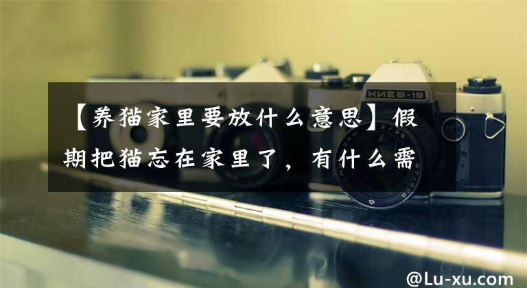 【养猫家里要放什么意思】假期把猫忘在家里了，有什么需要准备的吗？文章配图