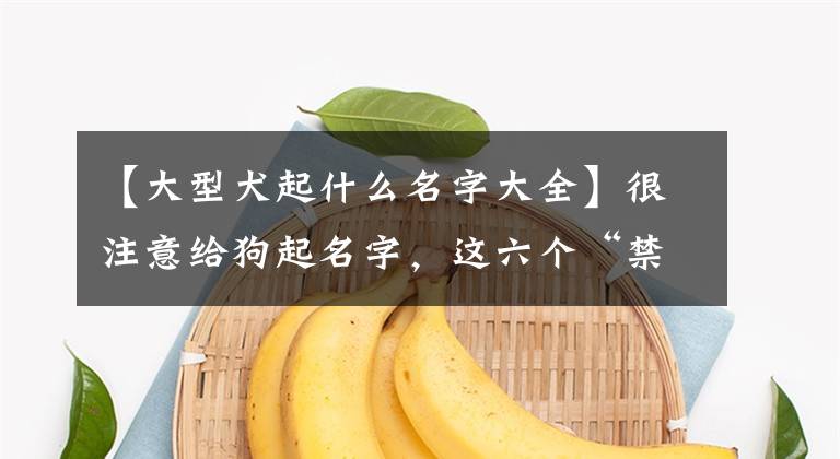 【大型犬起什么名字大全】很注意给狗起名字，这六个“禁忌”要避免，很实用文章配图