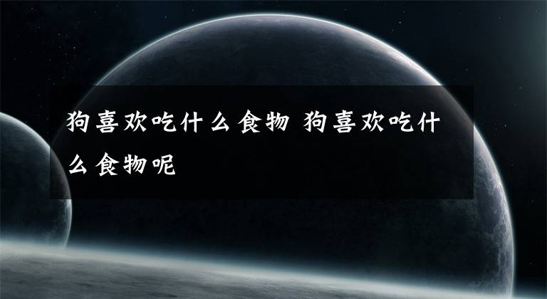 狗喜欢吃什么食物 狗喜欢吃什么食物呢文章配图