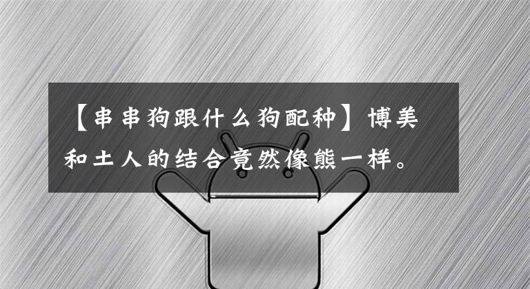 【串串狗跟什么狗配种】博美和土人的结合竟然像熊一样。史上最神奇的串串狗。文章配图